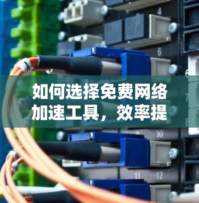 如何选择免费网络加速工具，效率提升的关键