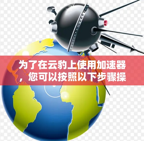 为了在云豹上使用加速器，您可以按照以下步骤操作