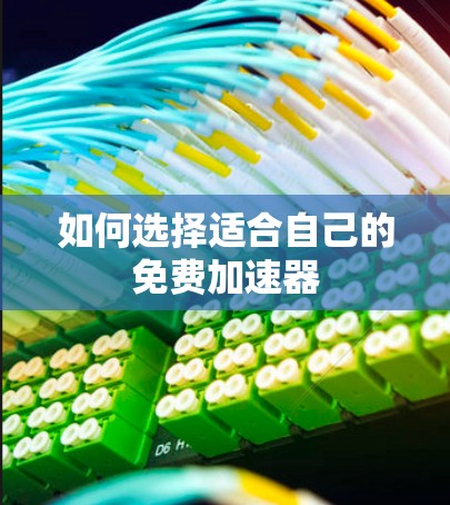 如何选择适合自己的免费加速器