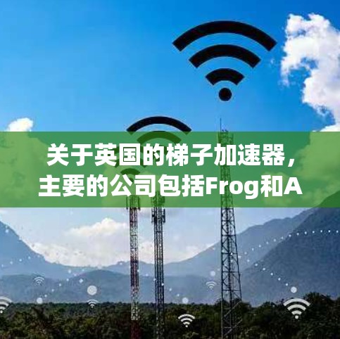 关于英国的梯子加速器，主要的公司包括Frog和Ape。以下是关于这两个公司的一些信息