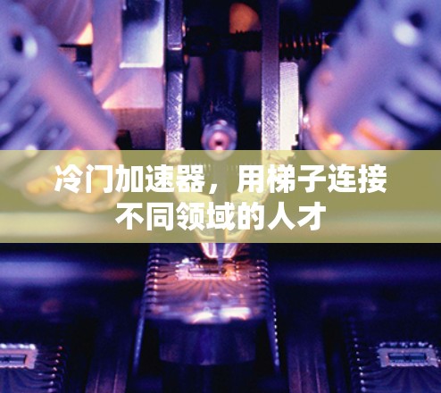 冷门加速器,用梯子连接不同领域的人才 冷门加速器,用梯子连接不同领域的人才