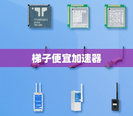 梯子便宜加速器