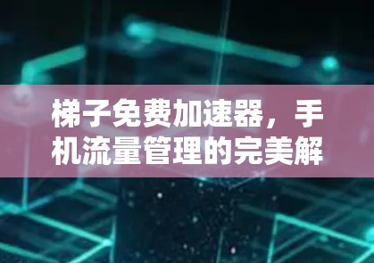 梯子免费加速器，手机流量管理的完美解决方案