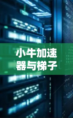 小牛加速器与梯子的完美配合—安装与使用指南 小牛加速器与梯子的完美配合—安装与使用指南