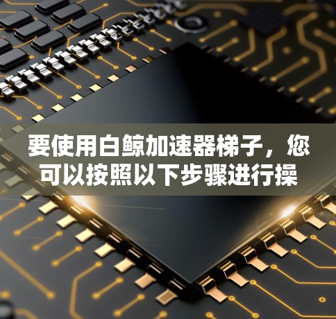 要使用白鲸加速器梯子，您可以按照以下步骤进行操作