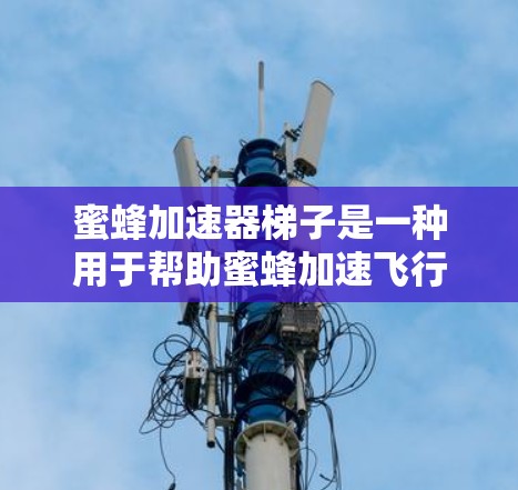 蜜蜂加速器梯子是一种用于帮助蜜蜂加速飞行的装置,广泛应用于蜂巢内部和窗户外面。以下是其详细介绍 蜜蜂加速器梯子是一种用于帮助蜜蜂加速飞行的装置,广泛应用于蜂巢内部和窗户外面。以下是其详细介绍