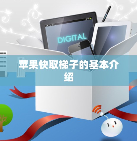 苹果快取梯子的基本介绍
