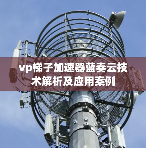 vp梯子加速器蓝奏云技术解析及应用案例
