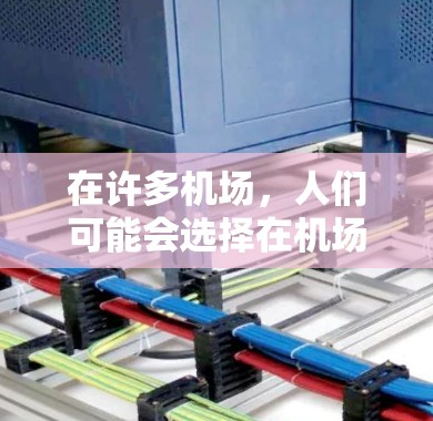 在许多机场，人们可能会选择在机场免费使用一些服务，以节省时间或降低成本。以下是一些常见的免费机场服务，具体细节可能因机场而异