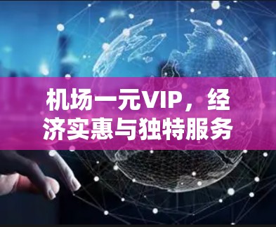 机场一元VIP，经济实惠与独特服务的结合