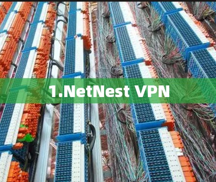 1.NetNest VPN 1.NetNest VPN