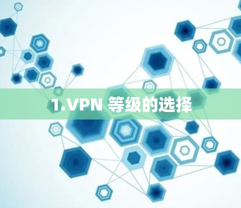 1.VPN 等级的选择