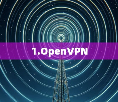 1.OpenVPN 1.OpenVPN