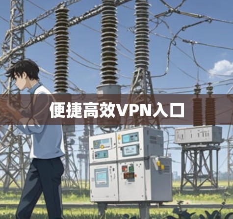 便捷高效VPN入口