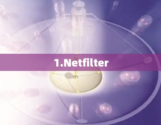 1.Netfilter 1.Netfilter