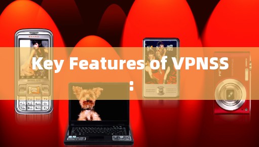 Key Features of VPNSS: Key Features of VPNSS: