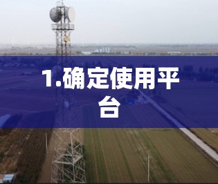 1.确定使用平台 1.确定使用平台