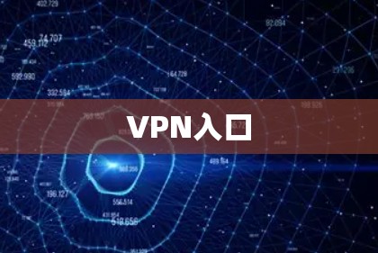 VPN入口 VPN入口