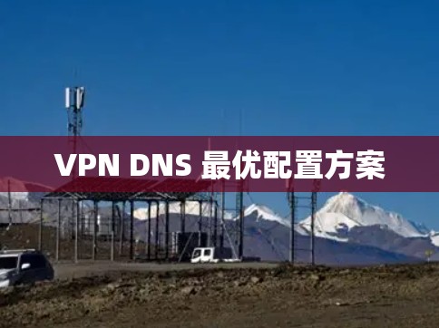 VPN DNS 最优配置方案 VPN DNS 最优配置方案
