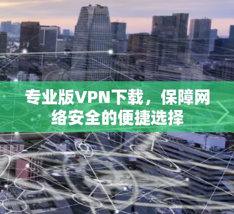 专业版VPN下载,保障网络安全的便捷选择 专业版VPN下载,保障网络安全的便捷选择
