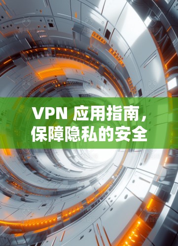 VPN 应用指南,保障隐私的安全解决方案 VPN 应用指南,保障隐私的安全解决方案