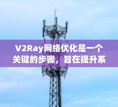 V2Ray网络优化是一个关键的步骤，旨在提升系统的性能、响应速度和安全性。以下是一些可能的优化方向和方法