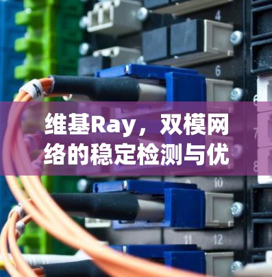维基Ray,双模网络的稳定检测与优化 维基Ray,双模网络的稳定检测与优化