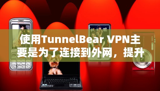 使用TunnelBear VPN主要是为了连接到外网，提升安全性和用户体验。以下是详细的使用步骤
