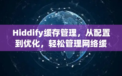 Hiddify缓存管理，从配置到优化，轻松管理网络缓存