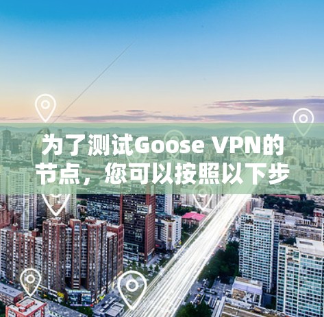 为了测试Goose VPN的节点,您可以按照以下步骤操作 为了测试Goose VPN的节点,您可以按照以下步骤操作
