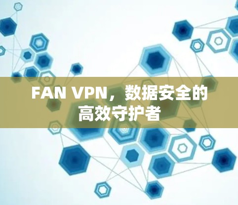 FAN VPN,数据安全的高效守护者 FAN VPN,数据安全的高效守护者
