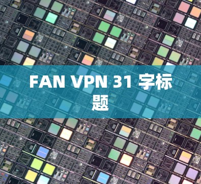 FAN VPN 31 字标题 FAN VPN 31 字标题