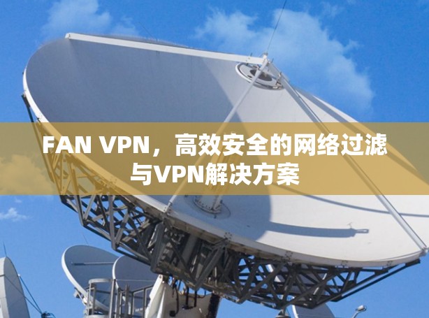 FAN VPN,高效安全的网络过滤与VPN解决方案 FAN VPN,高效安全的网络过滤与VPN解决方案