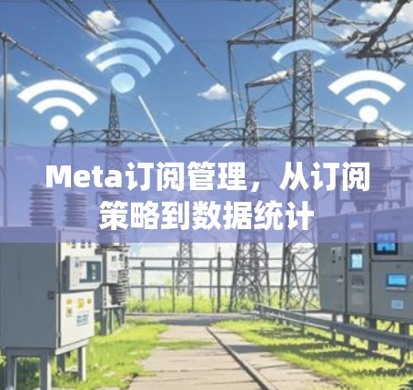 Meta订阅管理，从订阅策略到数据统计