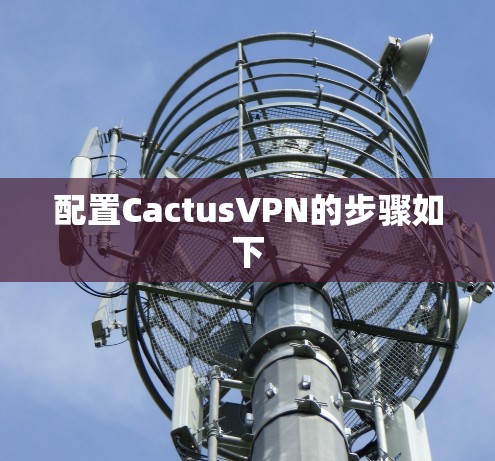 配置CactusVPN的步骤如下 配置CactusVPN的步骤如下