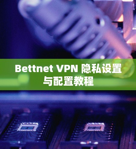Bettnet VPN 隐私设置与配置教程