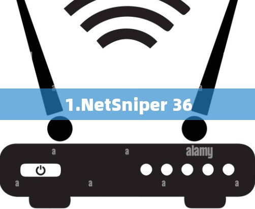 1.NetSniper 36