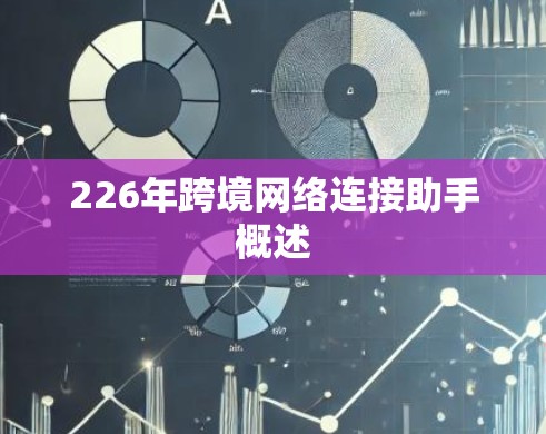 226年跨境网络连接助手概述