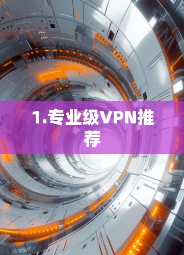 1.专业级VPN推荐
