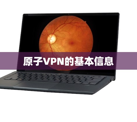 原子VPN的基本信息 原子VPN的基本信息