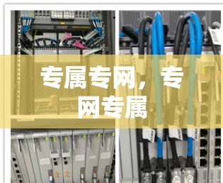 专属专网,专网专属 专属专网,专网专属