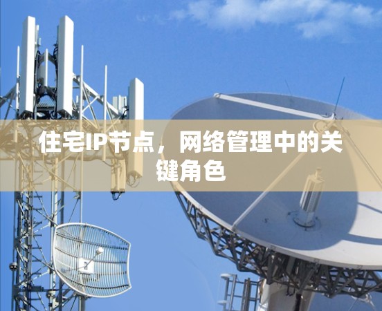 住宅IP节点,网络管理中的关键角色 住宅IP节点,网络管理中的关键角色