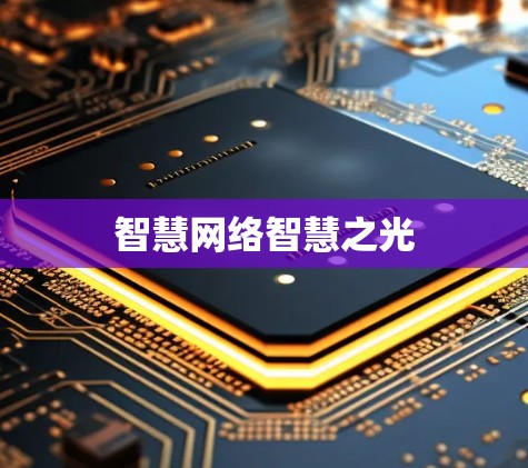 智慧网络智慧之光 智慧网络智慧之光