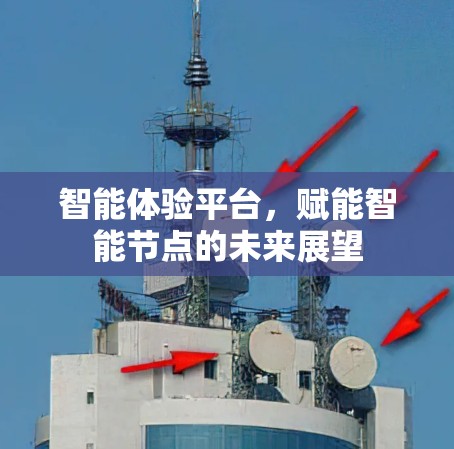 智能体验平台,赋能智能节点的未来展望 智能体验平台,赋能智能节点的未来展望