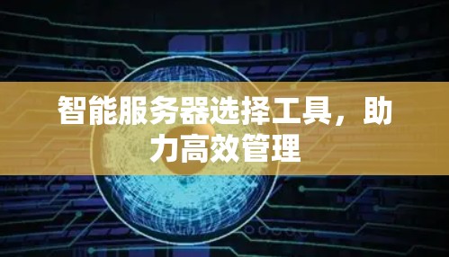 智能服务器选择工具，助力高效管理
