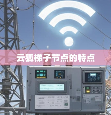云狐梯子节点的特点