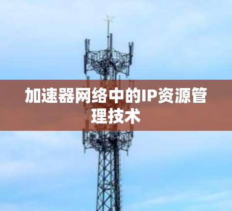 加速器网络中的IP资源管理技术
