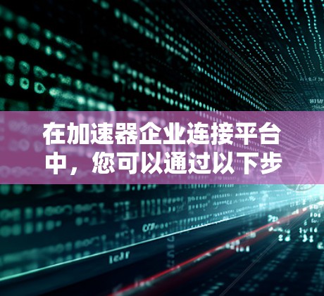 在加速器企业连接平台中,您可以通过以下步骤进行企业连接 在加速器企业连接平台中,您可以通过以下步骤进行企业连接