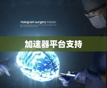 加速器平台支持 加速器平台支持