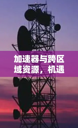 加速器与跨区域资源，机遇与挑战的协同效应
